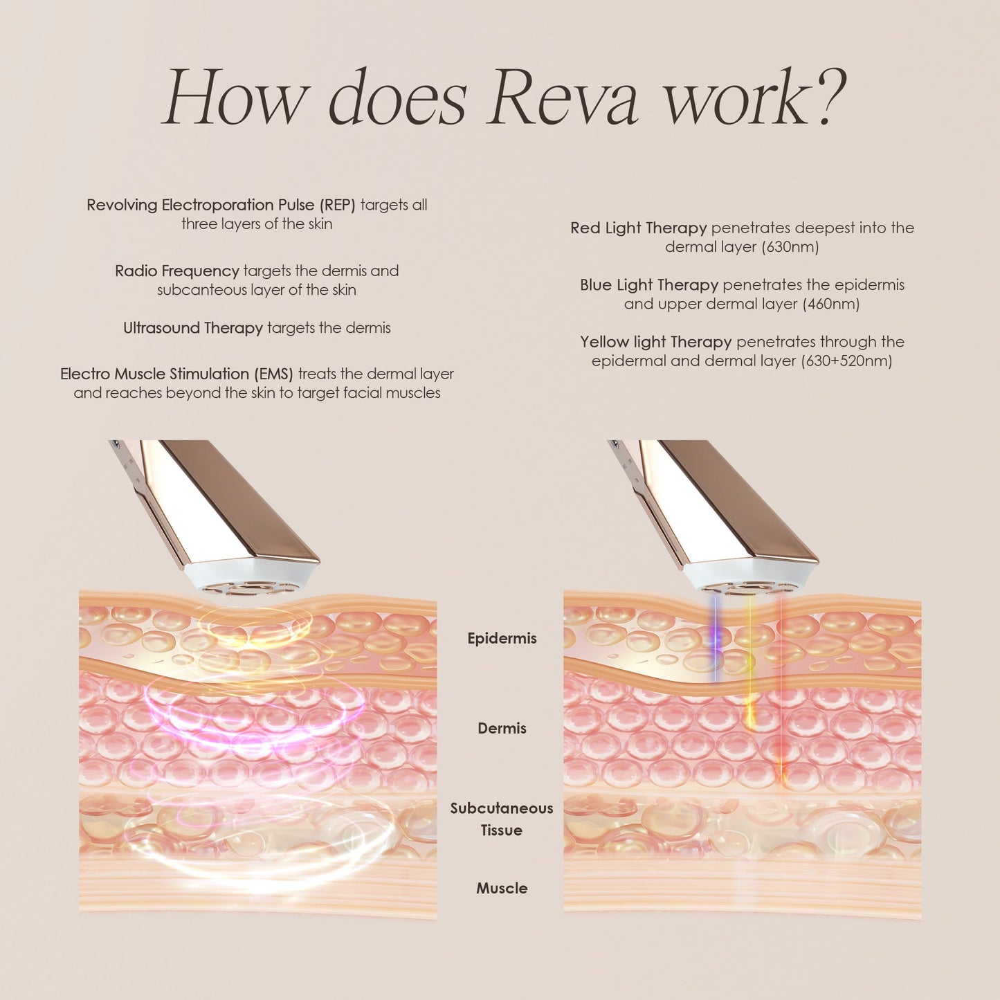 REVA | Instant Age Renewal Wand